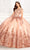 Princesa by Ariana Vara PR22026 - Short Sleeve Glitter Tulle Ball Gown