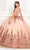 Princesa by Ariana Vara PR22026 - Short Sleeve Glitter Tulle Ball Gown