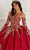 Princesa by Ariana Vara PR22146 - Embroided Lace Quinceañera Ball Gown