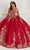 Princesa by Ariana Vara PR22146 - Embroided Lace Quinceañera Ball Gown