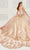 Princesa by Ariana Vara PR30081 - Metallic Quinceañera Gown