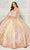 Princesa by Ariana Vara PR30081 - Metallic Quinceañera Gown