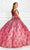 Princesa by Ariana Vara PR11921 - Beaded Lace with Cape Ball Gown Quinceanera Dresses 00 / Cranb/Nude