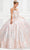 Princesa by Ariana Vara PR12009 - Sleeveless V-Neck Ball Gown Quinceanera Dresses 00 / Rose Gold