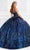 Princesa by Ariana Vara PR12009 - Sleeveless V-Neck Ball Gown Quinceanera Dresses