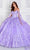 Princesa by Ariana Vara PR12261 - Embroidered Lace Ball Gown Quinceanera Dresses 00 / Lavender