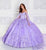 Princesa by Ariana Vara PR12261 - Embroidered Lace Ball Gown Quinceanera Dresses