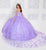 Princesa by Ariana Vara PR12261 - Embroidered Lace Ball Gown Quinceanera Dresses