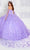 Princesa by Ariana Vara PR12261 - Embroidered Lace Ball Gown Quinceanera Dresses