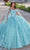 Princesa by Ariana Vara PR12261 - Embroidered Lace Ball Gown Quinceanera Dresses