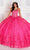 Princesa by Ariana Vara PR12261 - Embroidered Lace Ball Gown Quinceanera Dresses