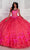 Princesa by Ariana Vara PR12261 - Embroidered Lace Ball Gown Quinceanera Dresses