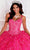 Princesa by Ariana Vara PR12261 - Embroidered Lace Ball Gown Quinceanera Dresses