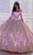 Princesa by Ariana Vara PR12261 - Embroidered Lace Ball Gown Quinceanera Dresses