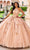 Princesa by Ariana Vara PR12262 - Ethereal Floral Halter Ball Gown Quinceanera Dresses