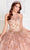 Princesa by Ariana Vara PR12262 - Ethereal Floral Halter Ball Gown Quinceanera Dresses