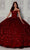 Princesa by Ariana Vara PR12266 - Sweetheart Ball Gown Quinceanera Dresses 00 / Dark Red