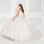 Princesa by Ariana Vara PR12266 - Sweetheart Ball Gown Quinceanera Dresses