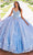 Princesa by Ariana Vara PR12268 - Shimmering Quinceañera Ball Gown Quinceanera Dresses