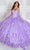 Princesa by Ariana Vara PR22021 - Basque Bodice Quinceañera Ball Gown Quinceanera Dresses 00 / Lilac