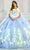 Princesa by Ariana Vara PR22021 - Basque Bodice Quinceañera Ball Gown Quinceanera Dresses