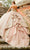 Princesa by Ariana Vara PR22022 - Sweetheart with Jacket Ball Gown Quinceanera Dresses