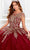 Princesa by Ariana Vara PR22026 - Short Sleeve Glitter Tulle Ball Gown Quinceanera Dresses