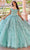 Princesa by Ariana Vara PR22036 - Strapless Sweetheart Ball Gown Quinceanera Dresses 00 / Sage