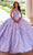 Princesa by Ariana Vara PR22036 - Strapless Sweetheart Ball Gown Quinceanera Dresses