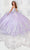 Princesa by Ariana Vara PR22141 - V-Neck Lace Ball Gown Quinceanera Dresses 00 / Lilac/Silver