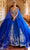 Princesa by Ariana Vara PR22141 - V-Neck Lace Ball Gown Quinceanera Dresses 00 / Sapphire/Silver