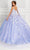 Princesa by Ariana Vara PR22143 - Floral Quinceañera Ball Gown Quinceanera Dresses