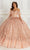 Princesa by Ariana Vara PR22144 - Beaded Glitter Tulle Ball Gown Quinceanera Dresses 00 / Rose Gold