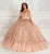 Princesa by Ariana Vara PR22144 - Beaded Glitter Tulle Ball Gown Quinceanera Dresses