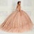 Princesa by Ariana Vara PR22144 - Beaded Glitter Tulle Ball Gown Quinceanera Dresses