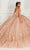 Princesa by Ariana Vara PR22144 - Beaded Glitter Tulle Ball Gown Quinceanera Dresses