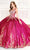 Princesa by Ariana Vara PR30081 - Metallic Quinceañera Gown Quinceanera Dresses 00 / Raspberry/Radiant Gold