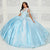 Princesa by Ariana Vara PR30081 - Metallic Quinceañera Gown Quinceanera Dresses