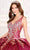 Princesa by Ariana Vara PR30081 - Metallic Quinceañera Gown Quinceanera Dresses