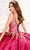 Princesa by Ariana Vara PR30081 - Metallic Quinceañera Gown Quinceanera Dresses