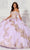 Princesa by Ariana Vara PR30118 - Sweetheart Applique Embellished Ballgown Quinceanera Dresses 4 / Rose Quartz