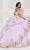 Princesa by Ariana Vara PR30118 - Sweetheart Applique Embellished Ballgown Quinceanera Dresses 4 / Rose Quartz