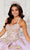 Princesa by Ariana Vara PR30118 - Sweetheart Applique Embellished Ballgown Quinceanera Dresses 4 / Rose Quartz