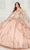 Princesa by Ariana Vara PR30118 - Sweetheart Applique Embellished Ballgown Quinceanera Dresses 4 / Rose Quartz