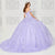 Princesa by Ariana Vara PR30120 - 3D Floral Applique Sweetheart Neck Ballgown Quinceanera Dresses 10 / Lilac