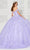 Princesa by Ariana Vara PR30120 - 3D Floral Applique Sweetheart Neck Ballgown Quinceanera Dresses 10 / Lilac