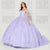 Princesa by Ariana Vara PR30120 - 3D Floral Applique Sweetheart Neck Ballgown Quinceanera Dresses 10 / Lilac