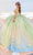 Princesa by Ariana Vara PR30162 - Three- Dimensional Flowers Prom Gown Prom Dresses