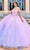 Princesa by Ariana Vara PR30162 - Three- Dimensional Flowers Prom Gown Prom Dresses