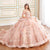 Princesa by Ariana Vara PR30171 - Sweetheart Quinceañera Ball Gown Quinceanera Dresses